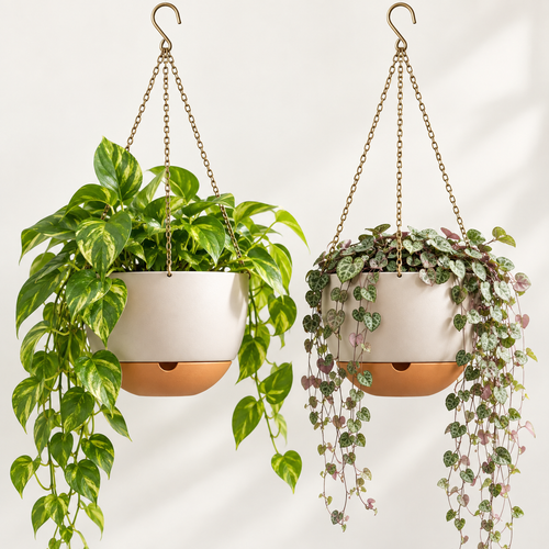 Fostervale® Self-Watering Hanging Planters (Set of 2)