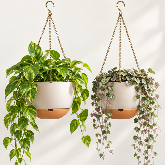 Fostervale® Self-Watering Hanging Planters (Set of 2)