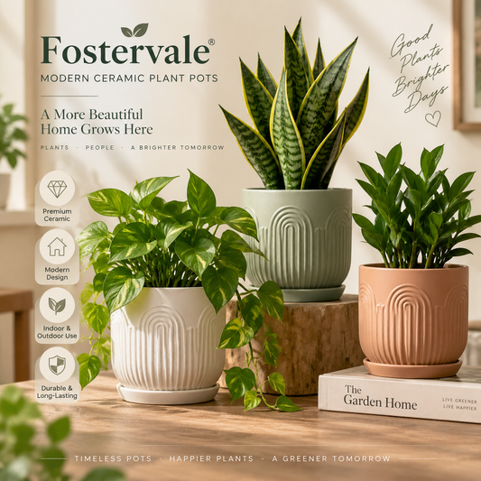 Fostervale® Modern Ceramic Plant Pots (Set of 3)